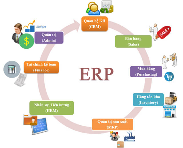 ERP là gì? Quy trình triển khai Enterprise Resource Planning hiệu quả
