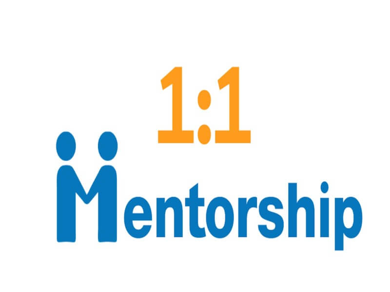 mentorship là gì