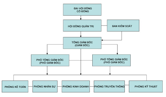 Sơ đồ tổ chức công ty còn được gọi là biểu đồ tổ chức, là giúp bạn định hình cấu trúc tổ chức của một doanh nghiệp. Sơ đồ lấy tên gọi khác nhau tùy từng thực tế công ty khác nhau, nhưng chức năng của nó vẫn là giúp bạn định hình quy trình làm việc, quản trị và phân chia công việc cho các nhân viên. Hãy xem hình minh họa để hiểu rõ hơn về sơ đồ tổ chức công ty nhé!